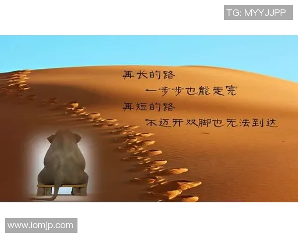 足球巨星的奋斗历程与励志故事启示我们追梦的力量与坚持的意义