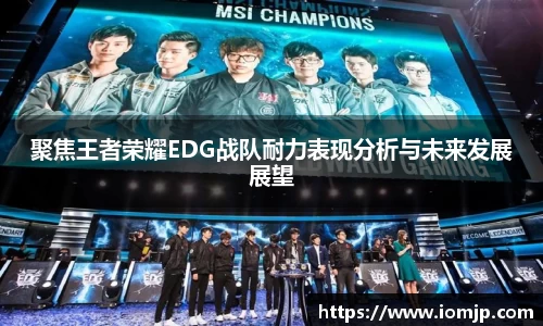 聚焦王者荣耀EDG战队耐力表现分析与未来发展展望