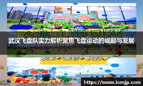 武汉飞盘队实力解析聚焦飞盘运动的崛起与发展