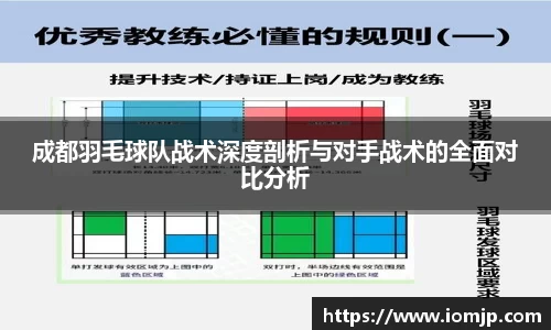 成都羽毛球队战术深度剖析与对手战术的全面对比分析
